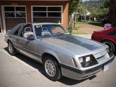 We Attended One Of The World's Largest Mustang Shows And It Was Incredible