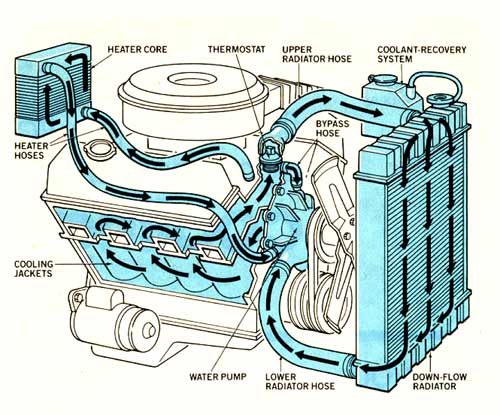 Here you can see the water pump's position in relation to the rest of the cooling system