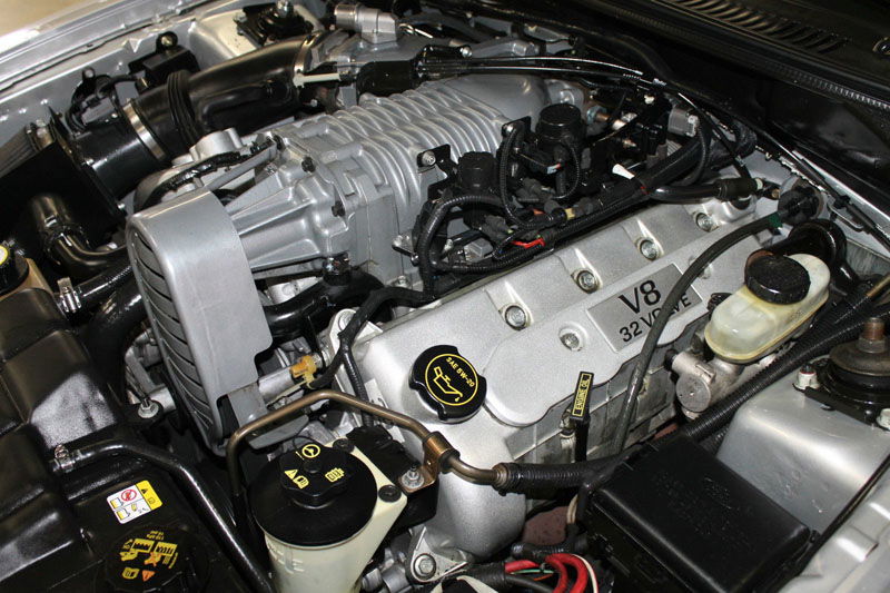 Terminator Cobra Or S2000: The $23k Convertible Conundrum