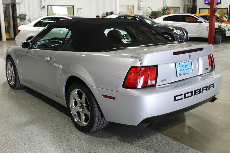 Terminator Cobra Or S2000: The $23k Convertible Conundrum