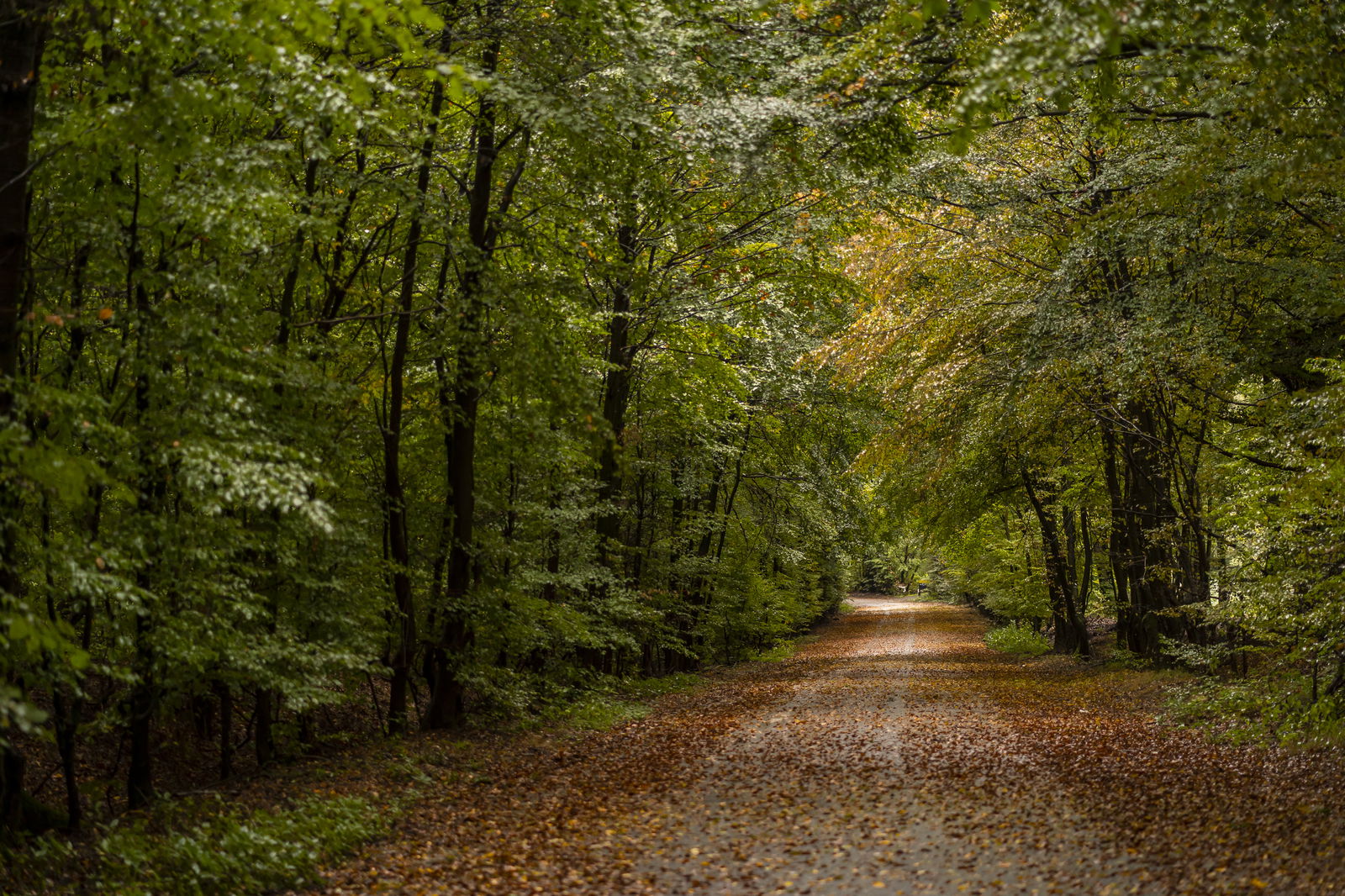 Retracing The Nurburgring Sudschleife - The Nordschleife’s Even Scarier Brother