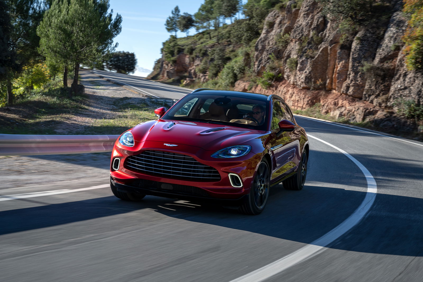 Why 2019 Has Been A Superb Year For Petrolheads