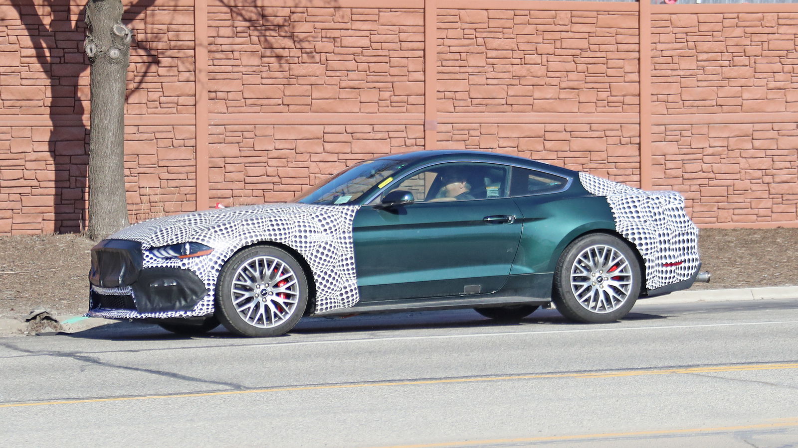 This Is Probably The New Ford Mustang Mach 1