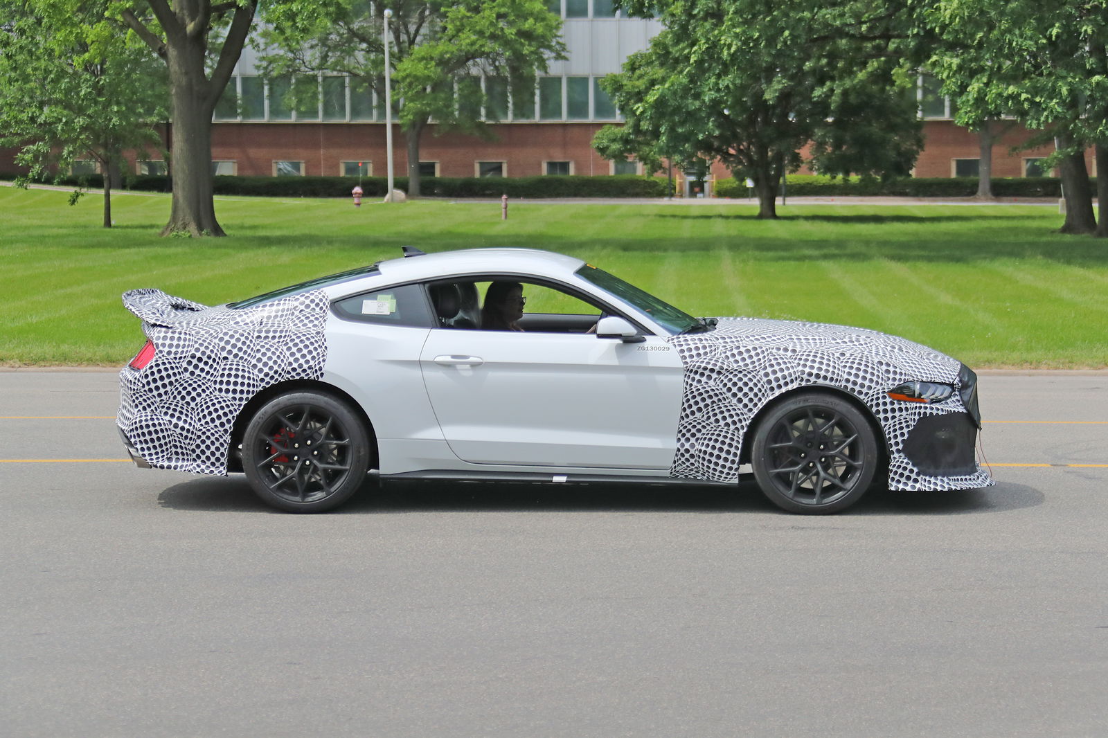 The New Ford Mustang Mach 1 Will Be A 5.0 Budget GT350