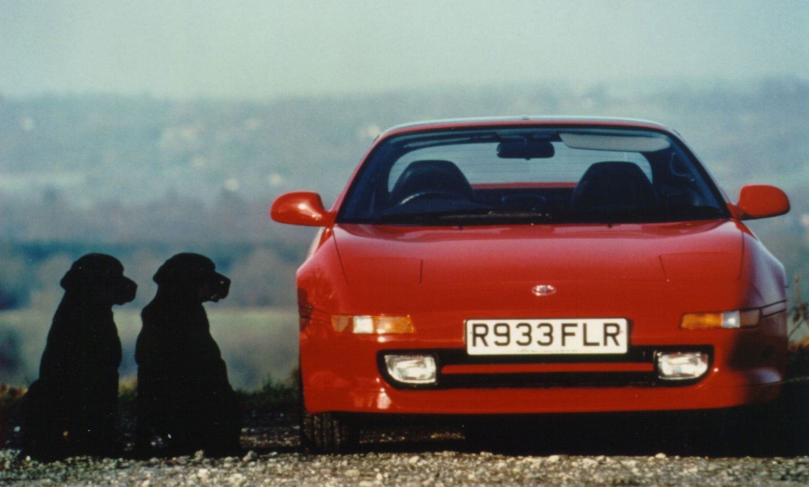 Be sure not to buy a dog of an MR2... (sorry)