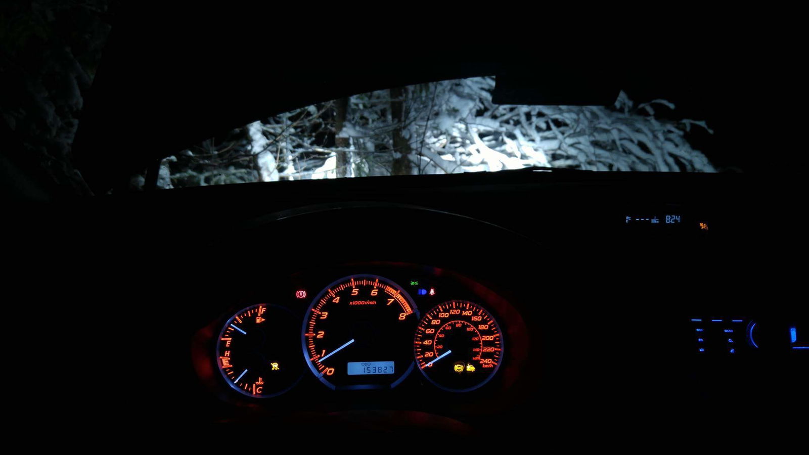 This was my view - and soundtrack - for an hour. Bears are scary. I'll stay in my car.