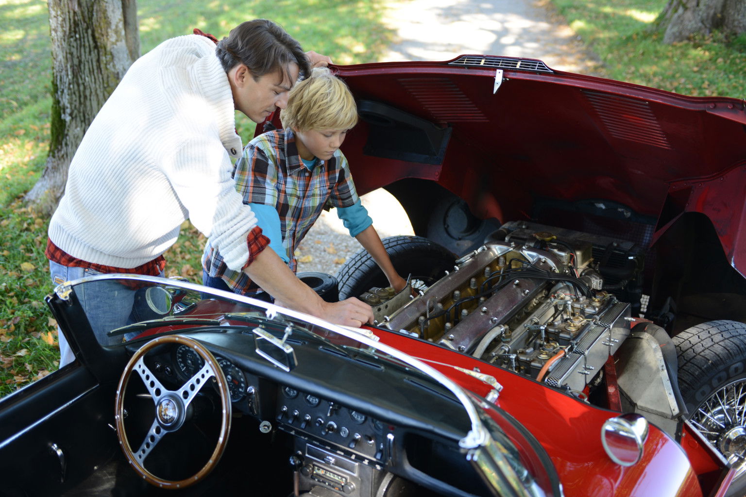 Dear Car Manufacturers, Please don't EVER Abolish the Gasoline Engine.