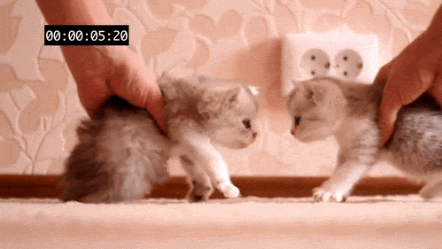 Now kiss!