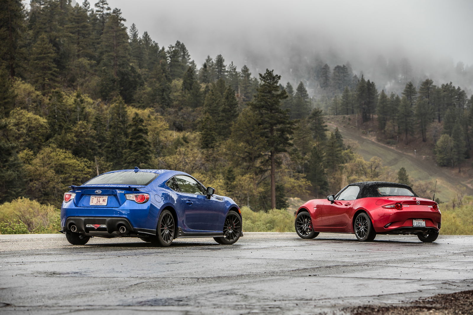Dear Car Manufacturers, Please don't EVER Abolish the Gasoline Engine.