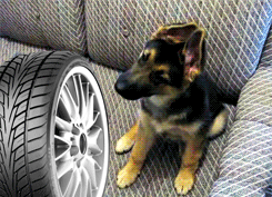 #TechTip: Tire Sizes 101