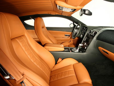 The leather is important for every luxury car. In this case, the Z-shaped stitches on the headrests give a good styling to the interior