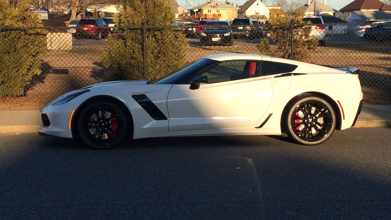 White Panther - My Drive in the Corvette Z06