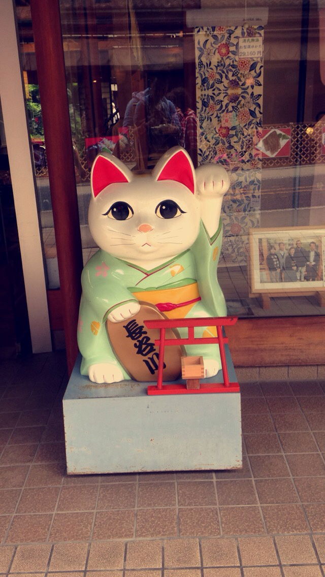 The Guide to Having Your Own Adventure in Japan!