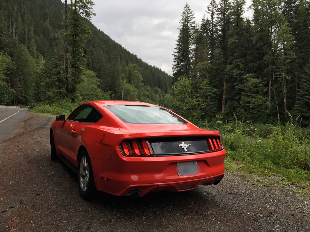 My Trip to a Fun Mountain Road, and why I Loved it (Plus plenty of pictures)