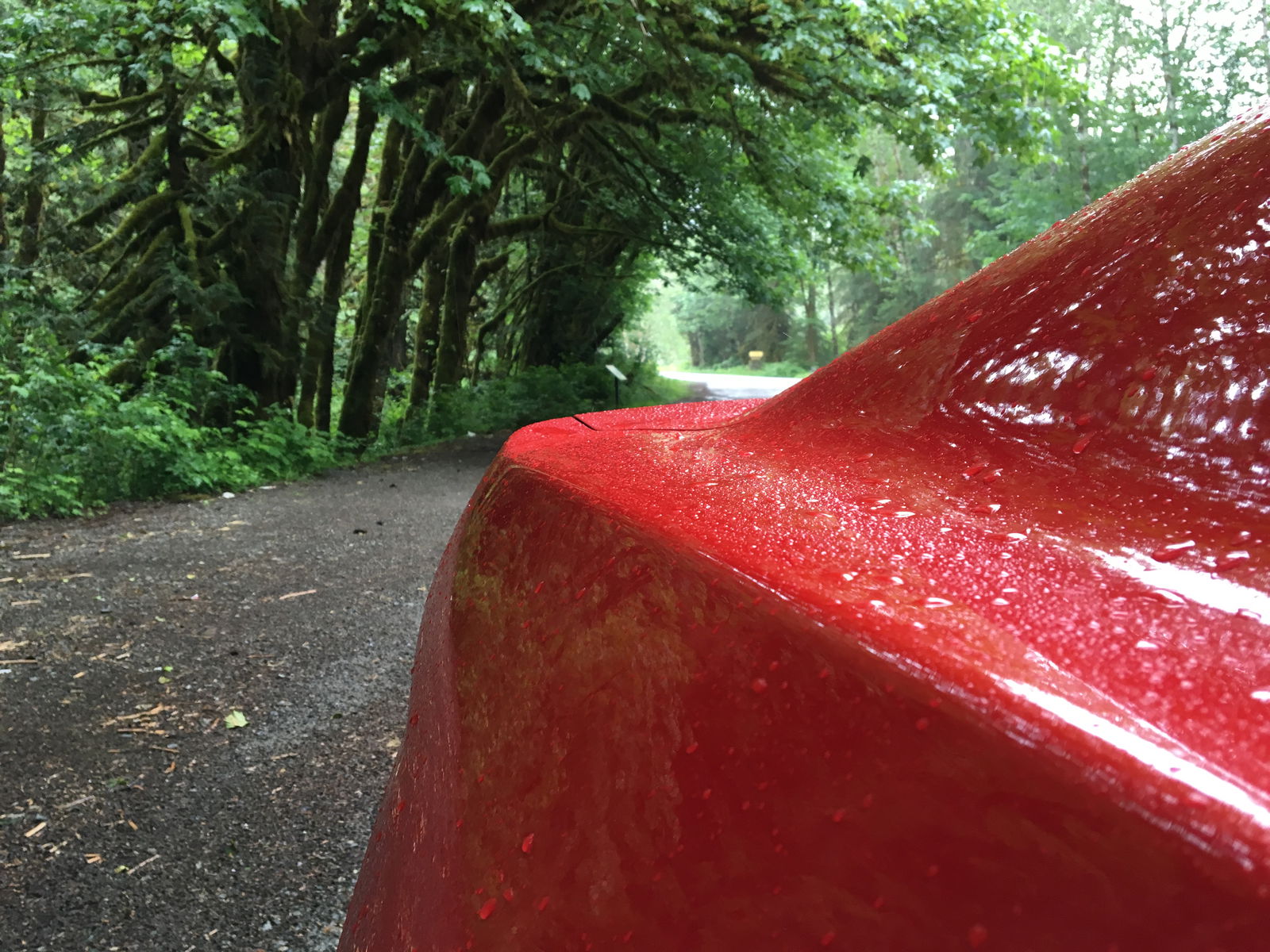 My Trip to a Fun Mountain Road, and why I Loved it (Plus plenty of pictures)