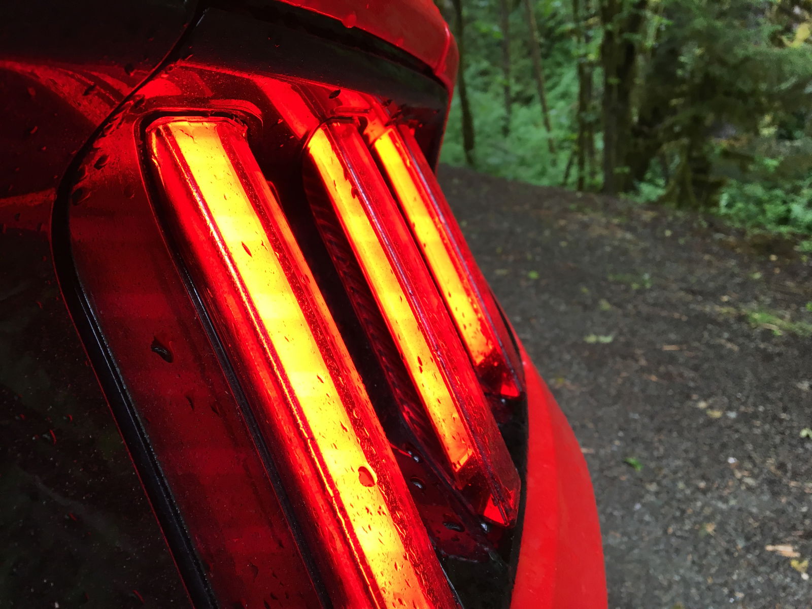 My Trip to a Fun Mountain Road, and why I Loved it (Plus plenty of pictures)