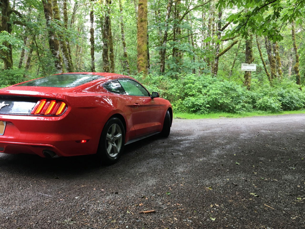 My Trip to a Fun Mountain Road, and why I Loved it (Plus plenty of pictures)