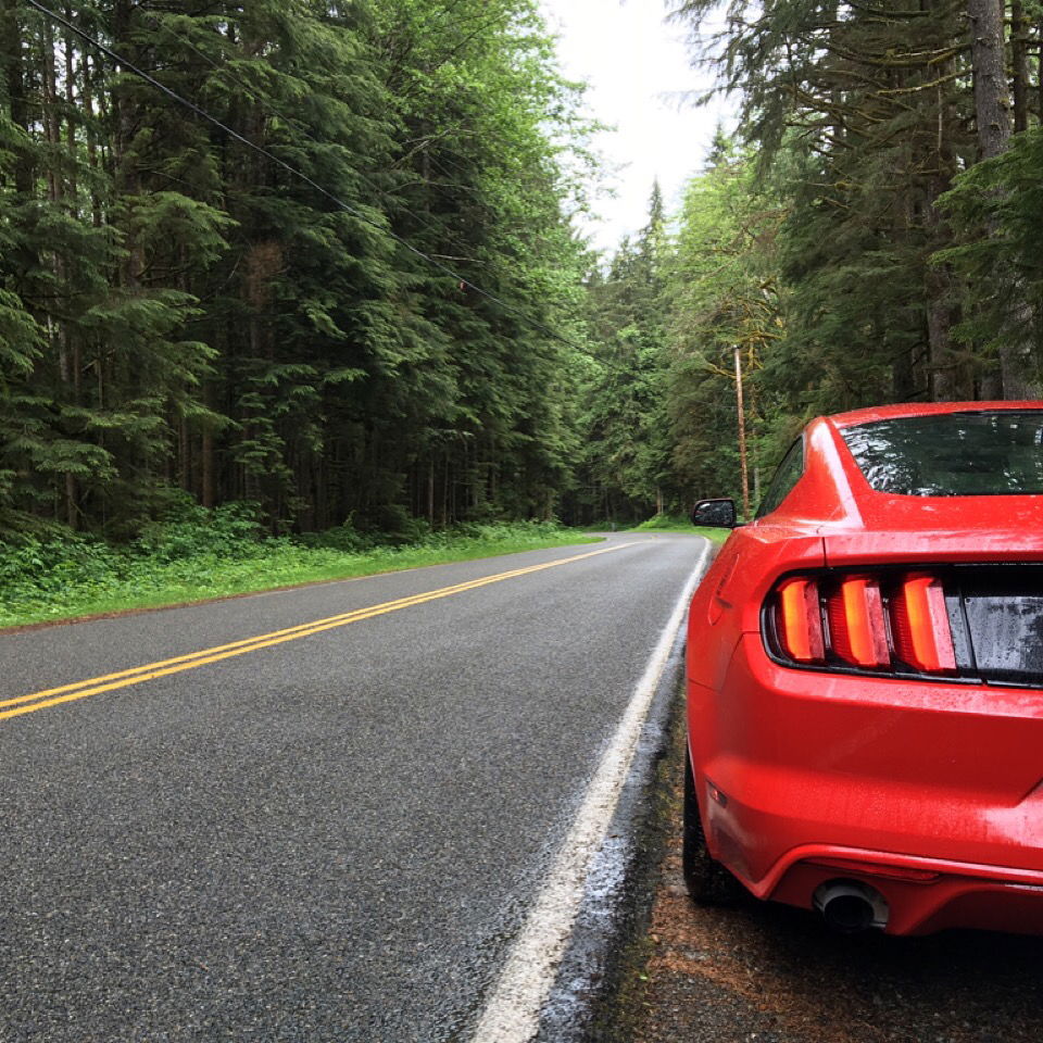 My Trip to a Fun Mountain Road, and why I Loved it (Plus plenty of pictures)