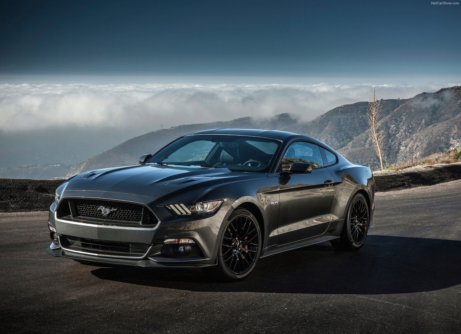 The Top 10 Cars Of The Last Year 