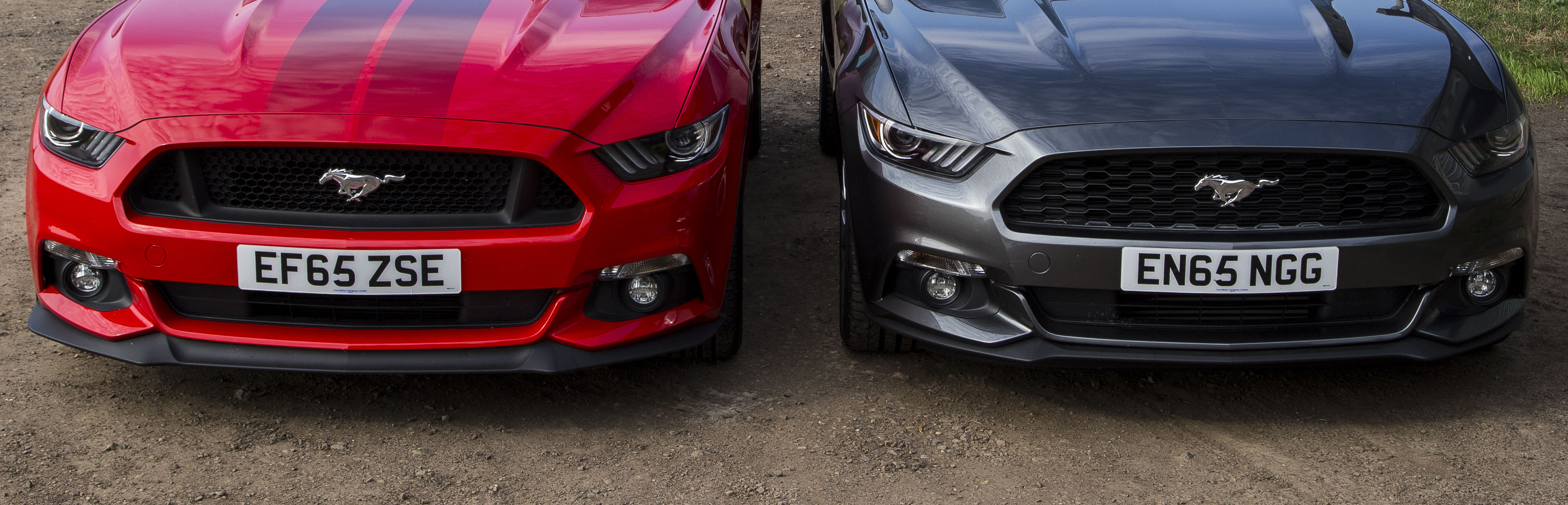 7 Exterior Differences Between The Ford Mustang GT And Ecoboost