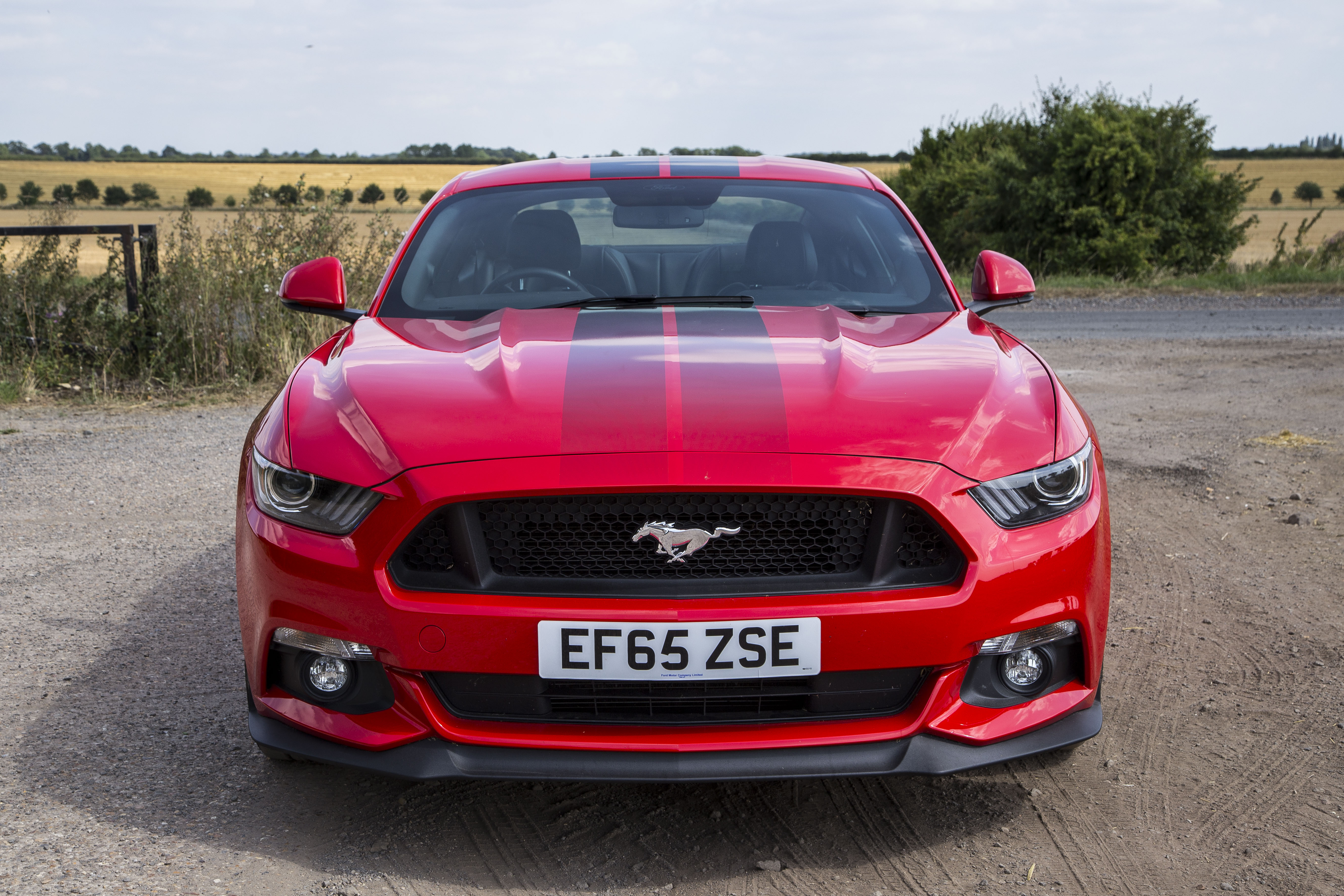 What Girls Really Think Of A V8 Mustang