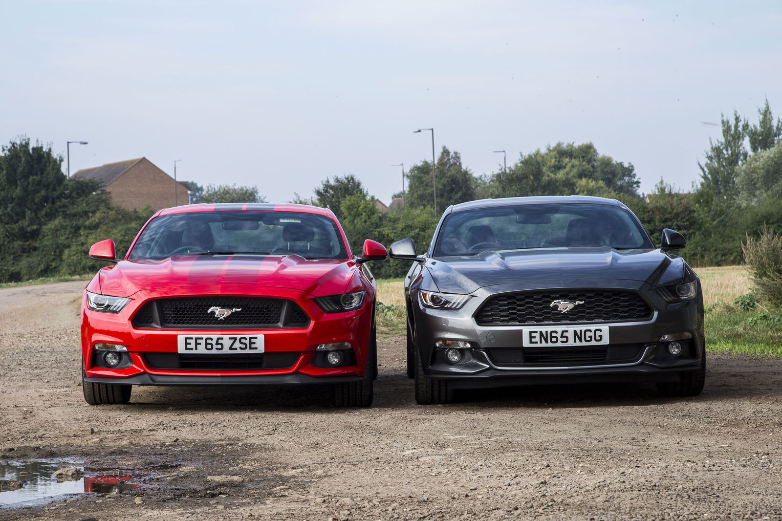 7 Exterior Differences Between The Ford Mustang GT And Ecoboost