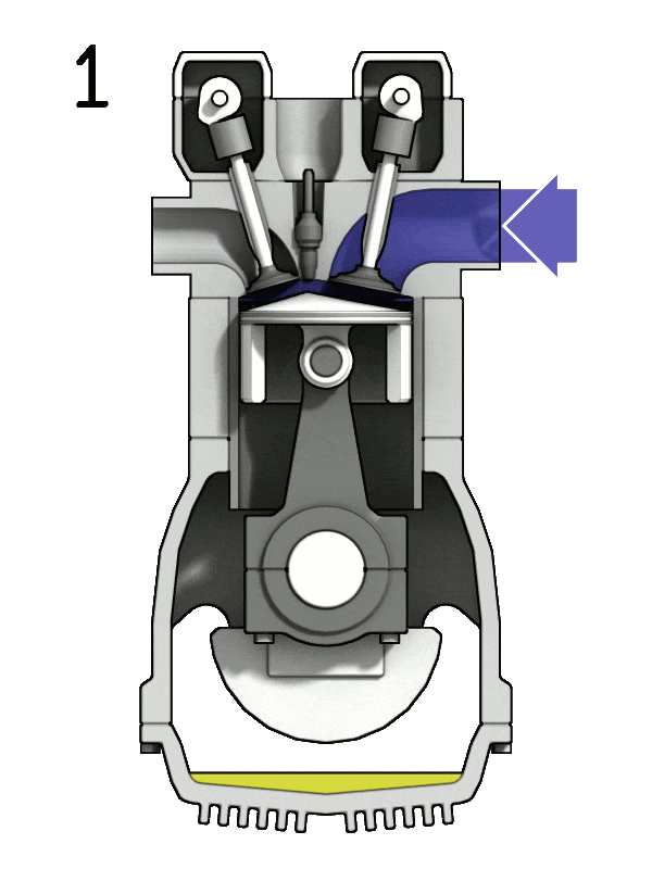 Here you can see the lobes of dual over-head camshafts opening the engine valves on each stroke