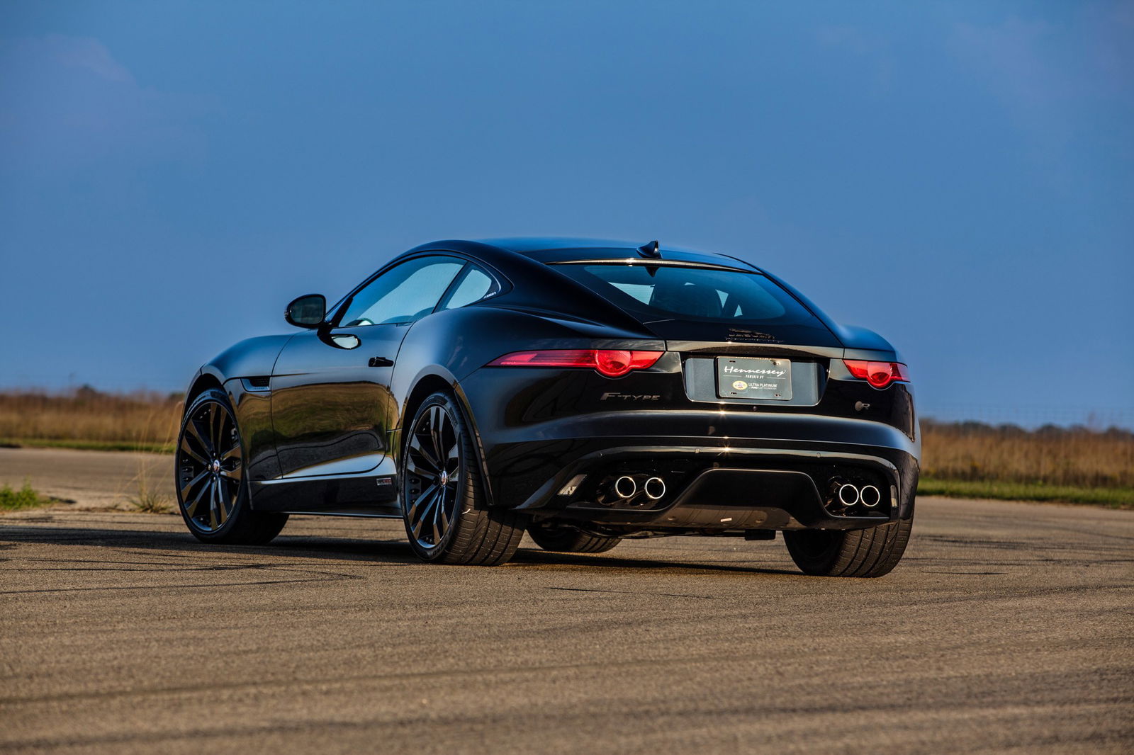 I Survived A Massive Mustang Gathering - Here’s What I Learned