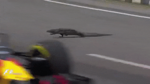 12 Of The Weirdest Radio Messages From F1 2016 So Far