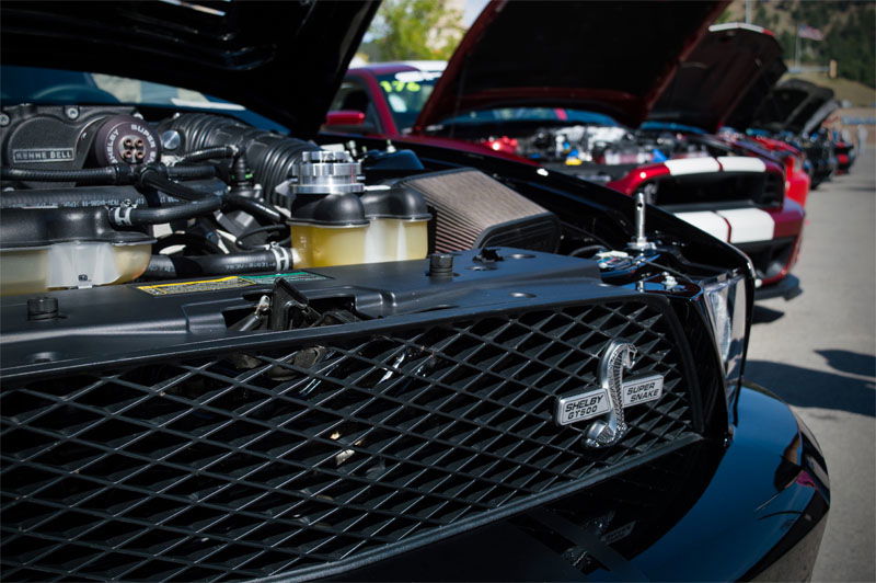 5 Totally Legit Ways To Survive A Mustang Encounter