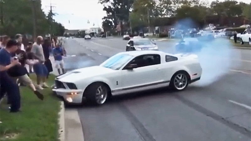 5 Totally Legit Ways To Survive A Mustang Encounter
