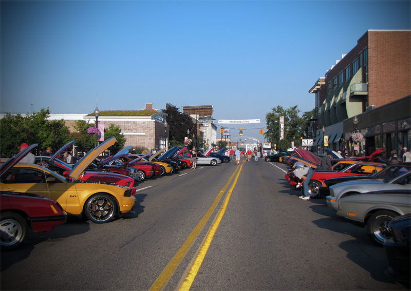 5 Totally Legit Ways To Survive A Mustang Encounter