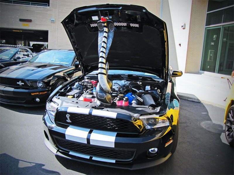5 Totally Legit Ways To Survive A Mustang Encounter