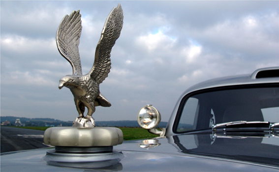 The hood-ornament. The normal eagle-badge would not have been adequate, would it?