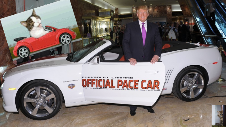 The Reality Of Trump, Automobiles And Mexico - Kittens Driving Cars Edition.