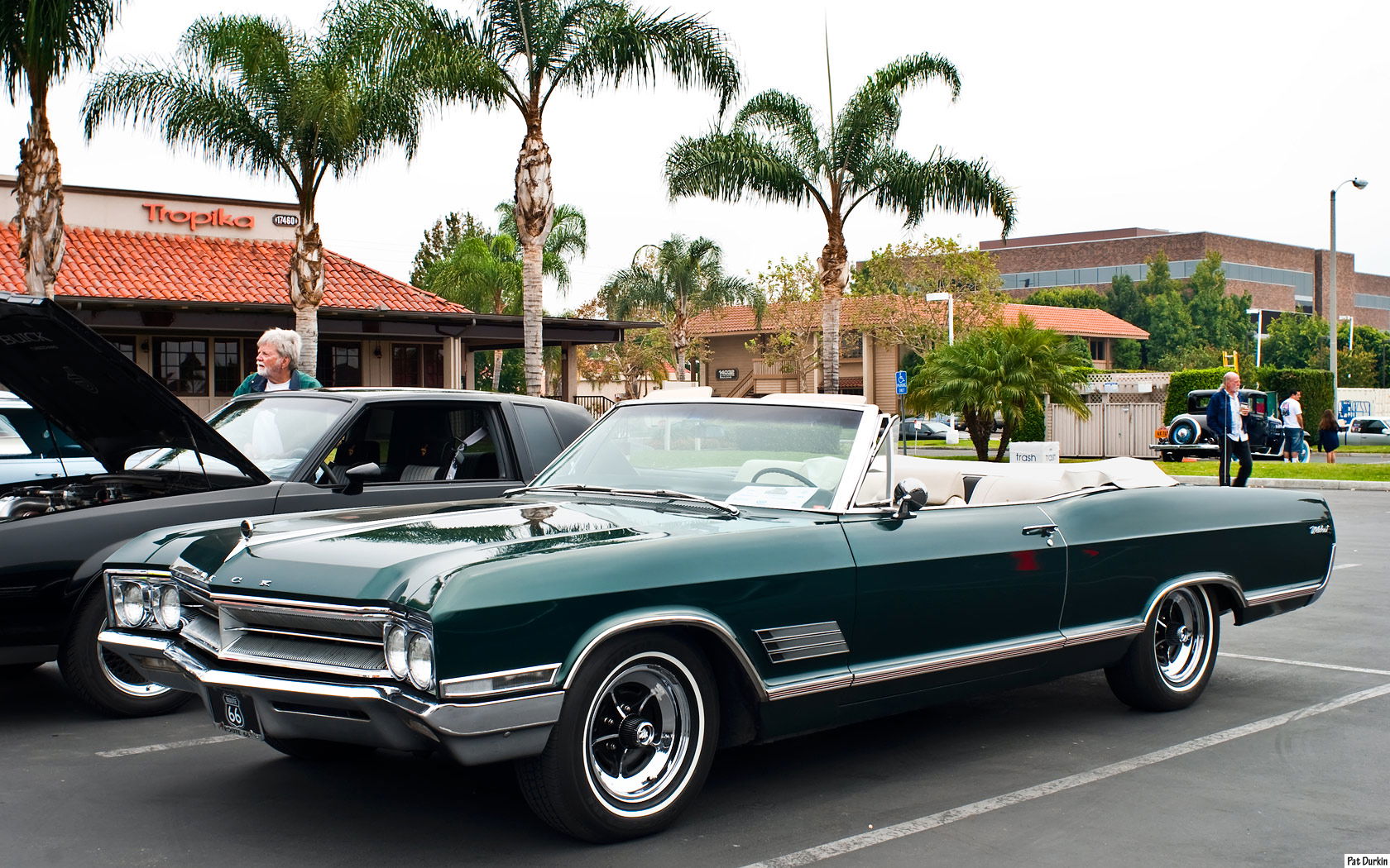 My Options For A Project Car