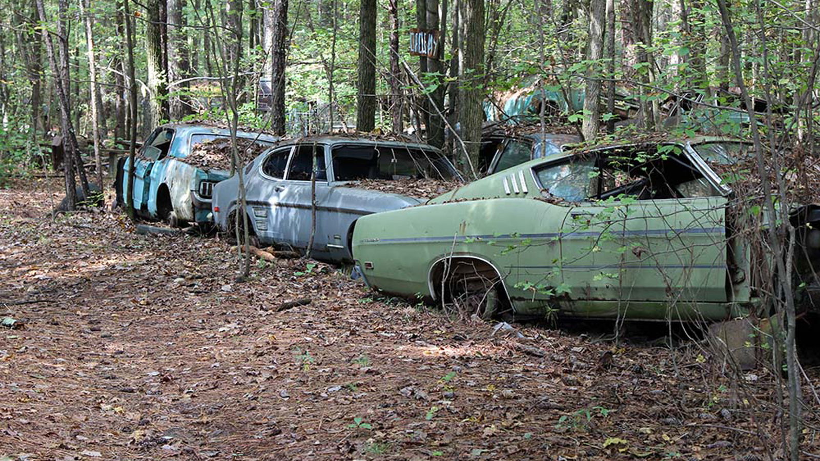 My Options For A Project Car