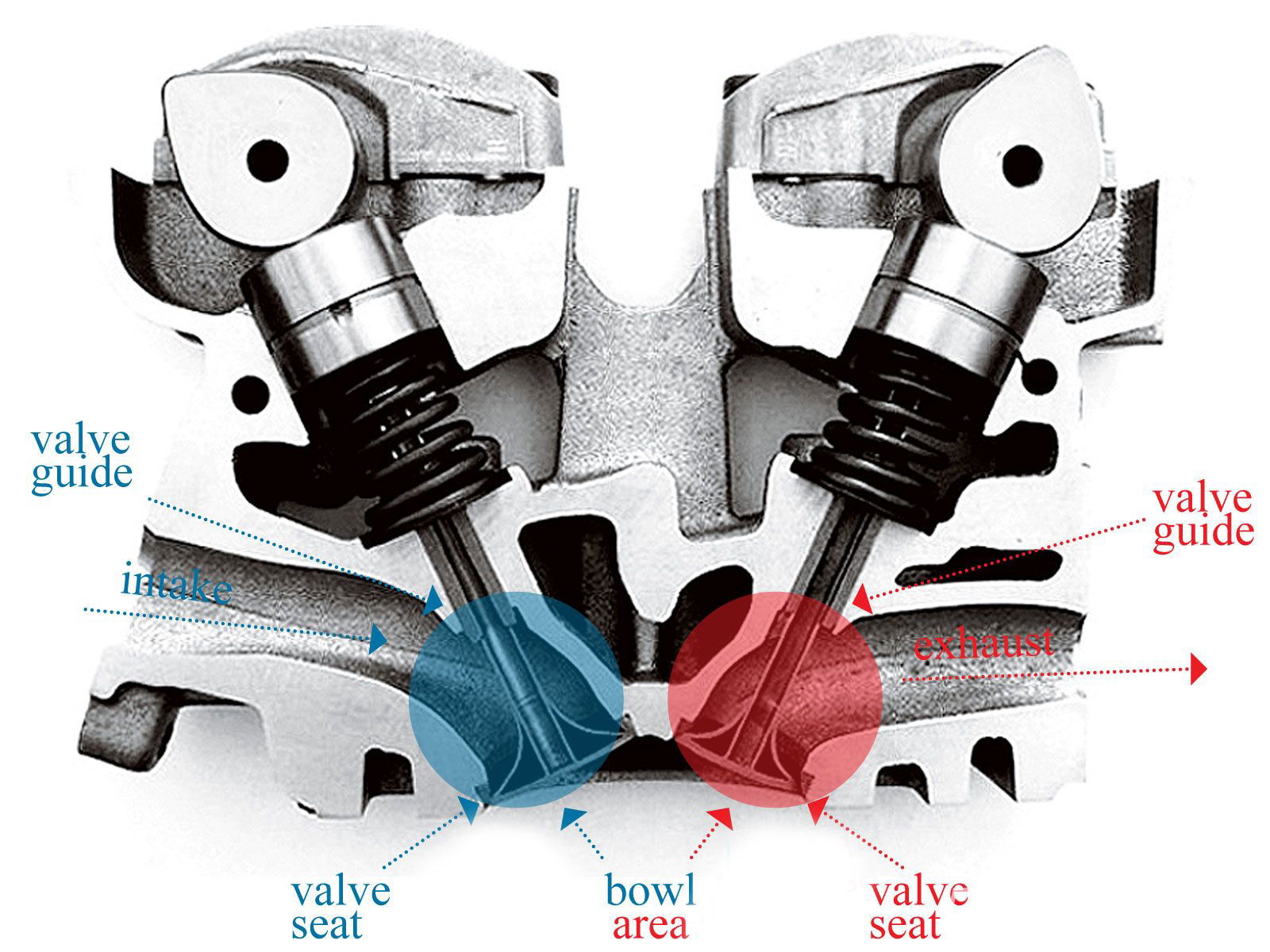 The anatomy of a cylinder head, with the corresponding valvetrain above