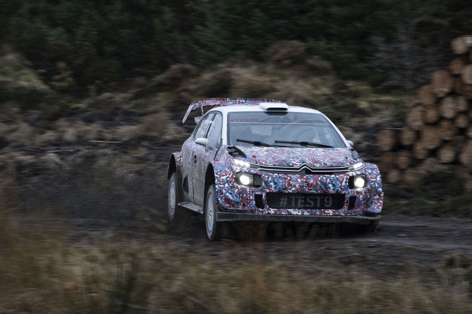 9 Reasons Why You Should Watch The WRC In 2017