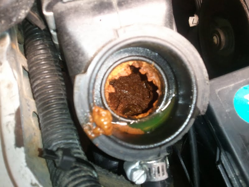 This radiator might be past saving...