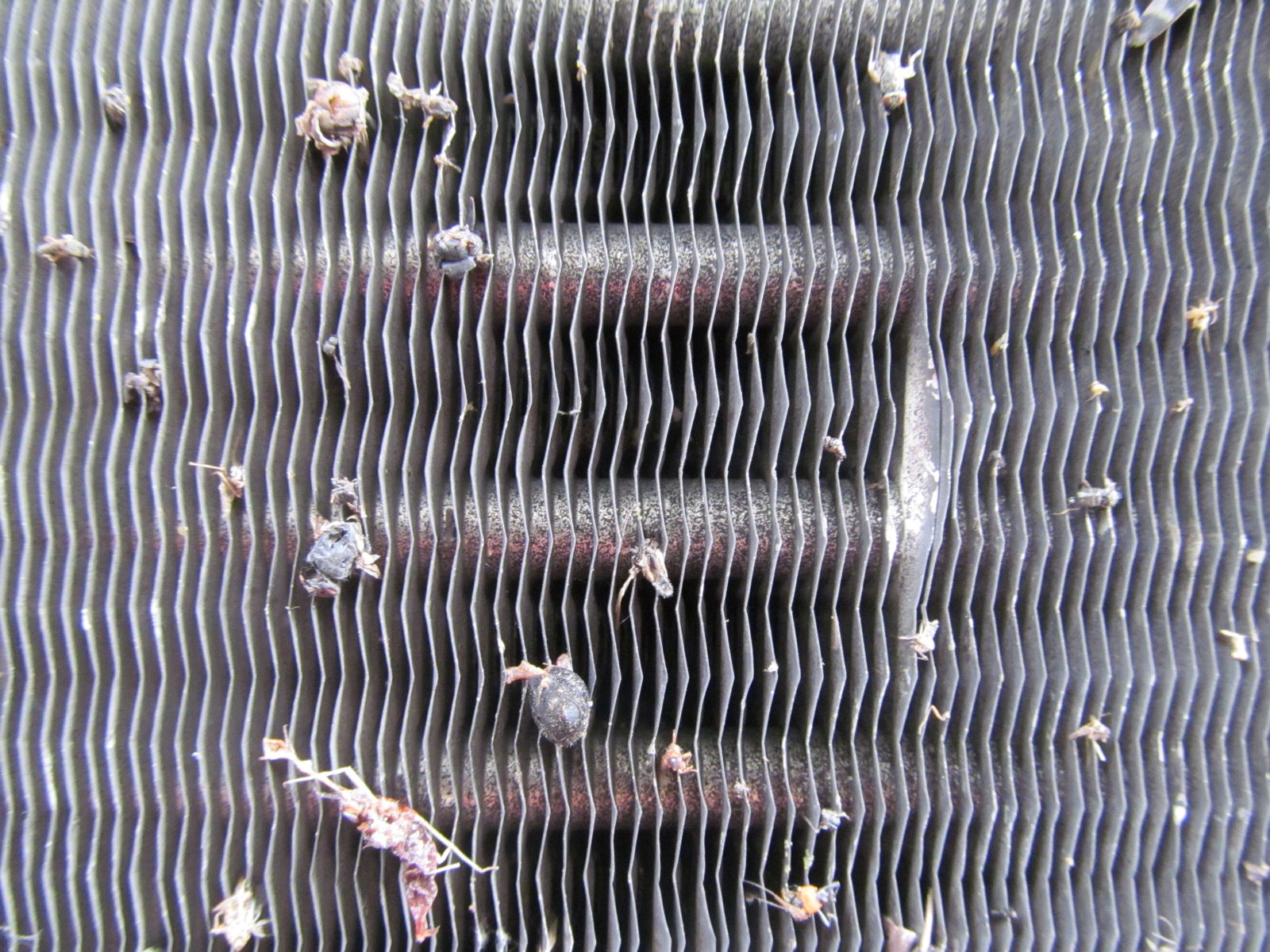 Radiators have horizontal tubes that carry the coolant and allow for the incoming air to interact with it, producing heat transfer