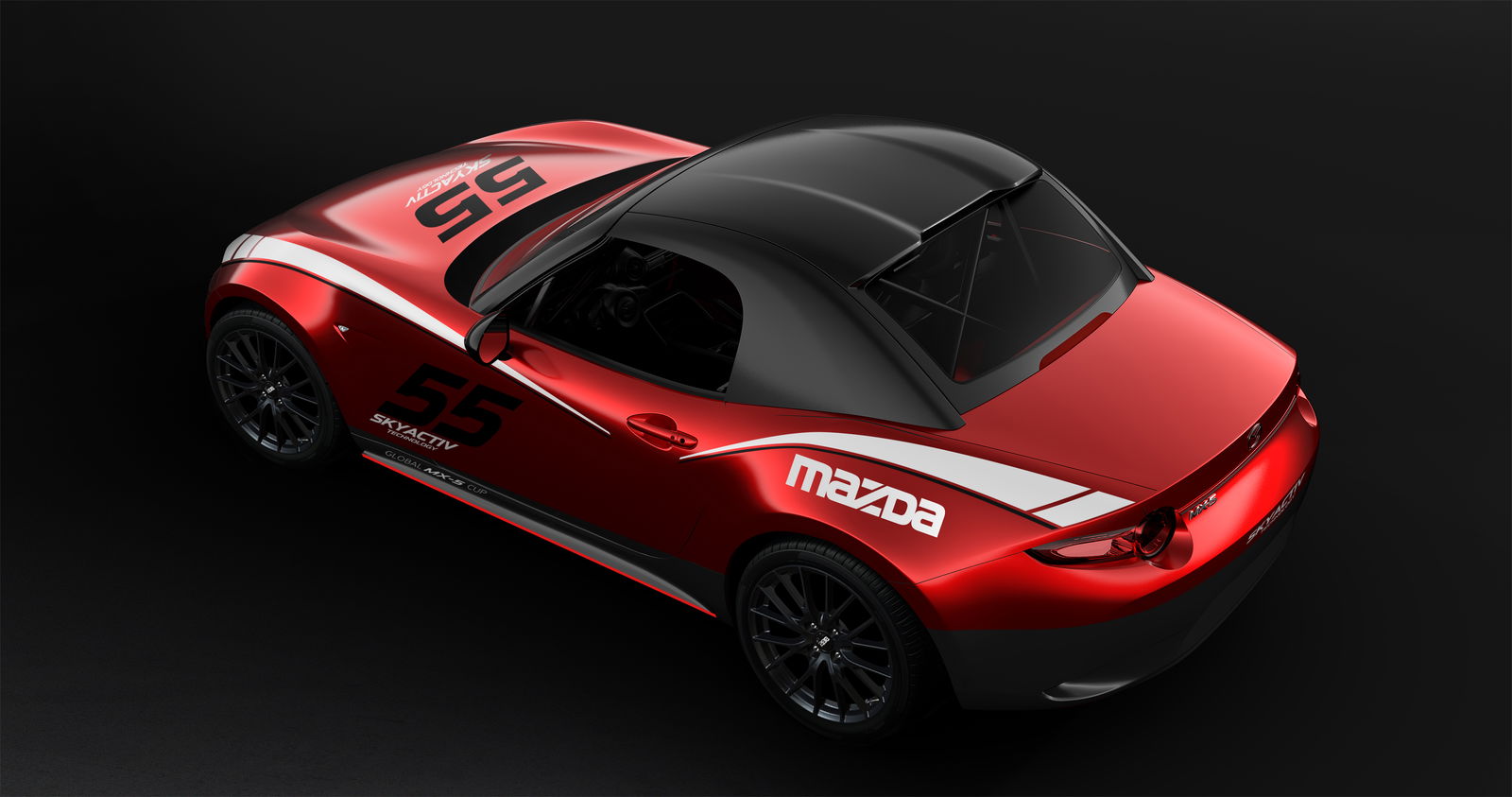 Survival - Porsche Boxster Concept