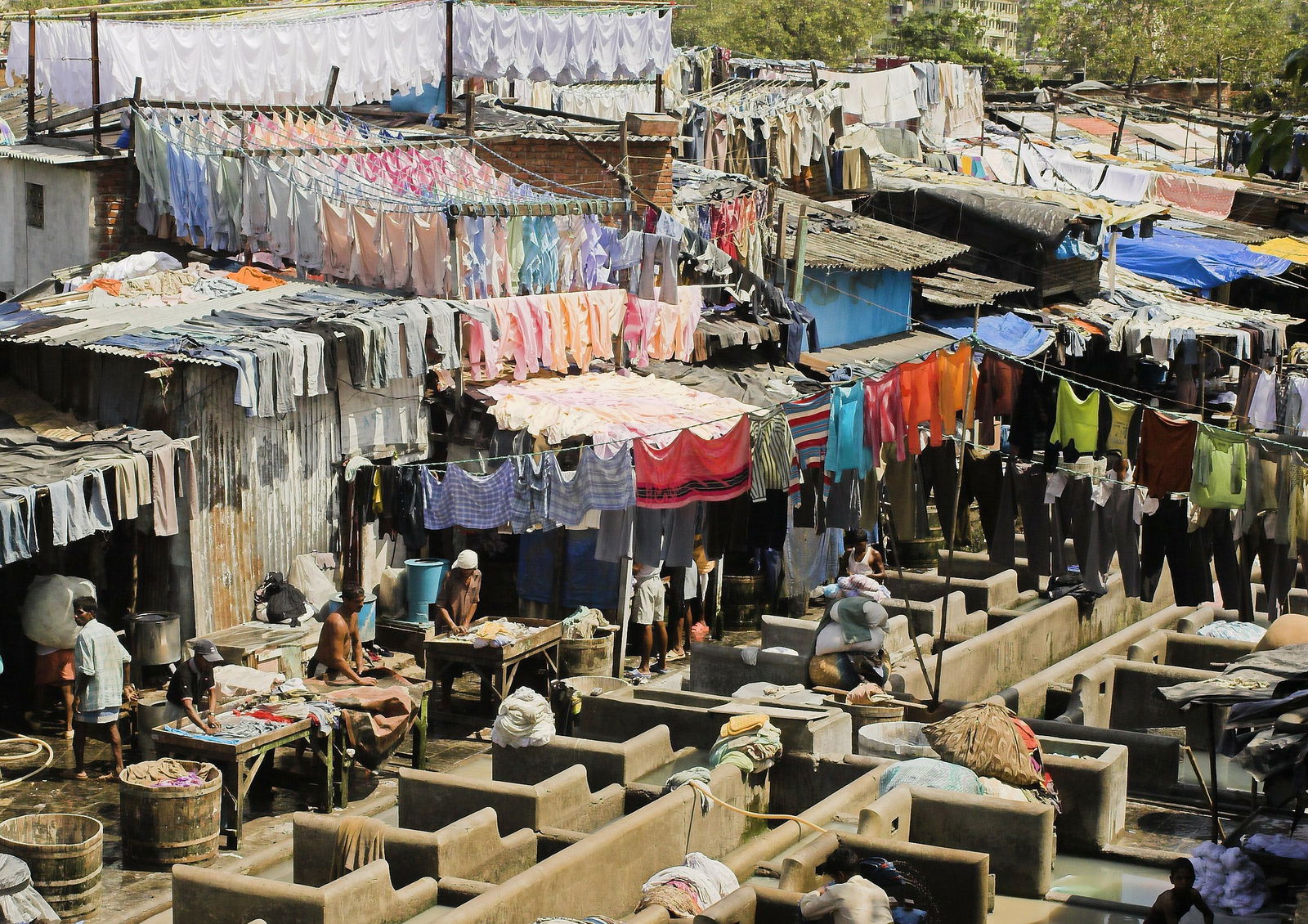 Can India Really Ditch All Petroleum-Powered Vehicles By 2030?