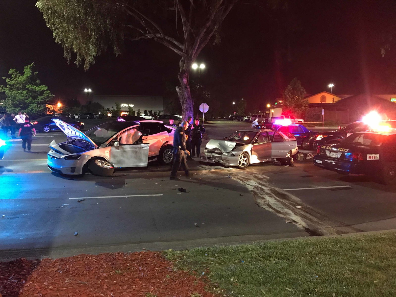 Man Brands Elon Musk A Lifesaver After His Tesla Model X Is Hit By A Speeding Car