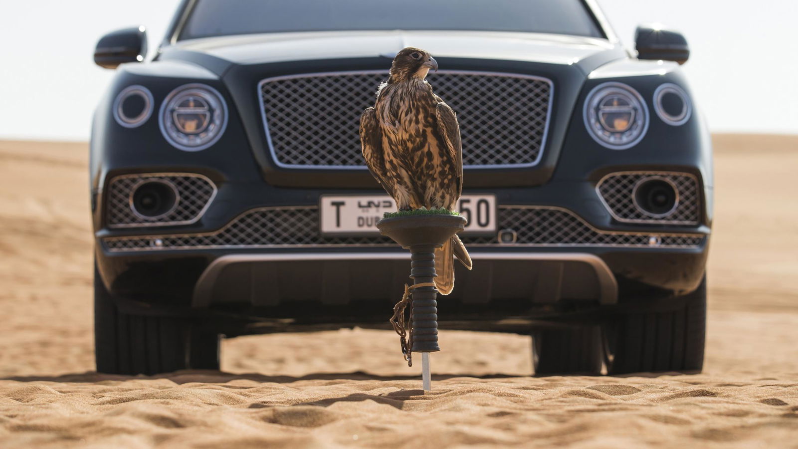 Bentley Has Made A 'Bentayga Falconry' Because Of Course It Has