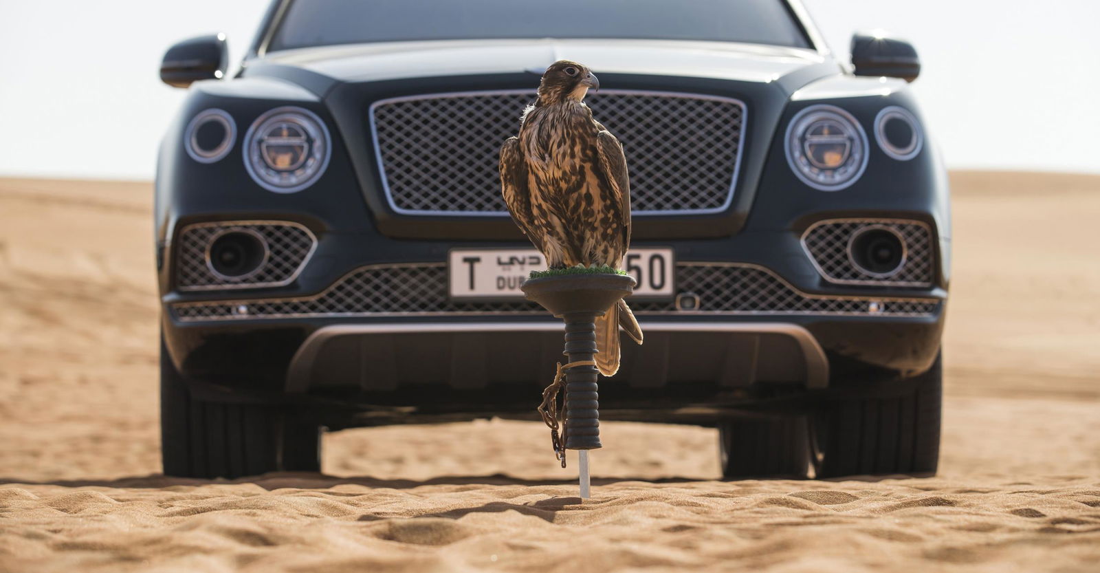 What's The Obsession With Brown Cars?