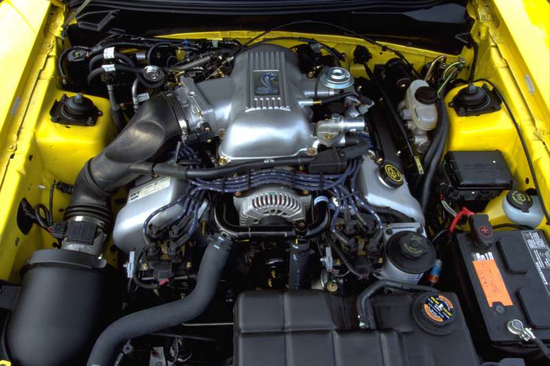 The Supercharged Thunderbird That Never Left The Nest