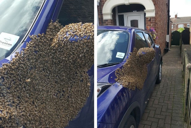 Image: Hull Daily Mail