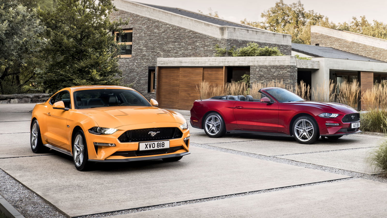 More Power And 10 Speeds Headline Next Year's Ford Mustang Upgrades