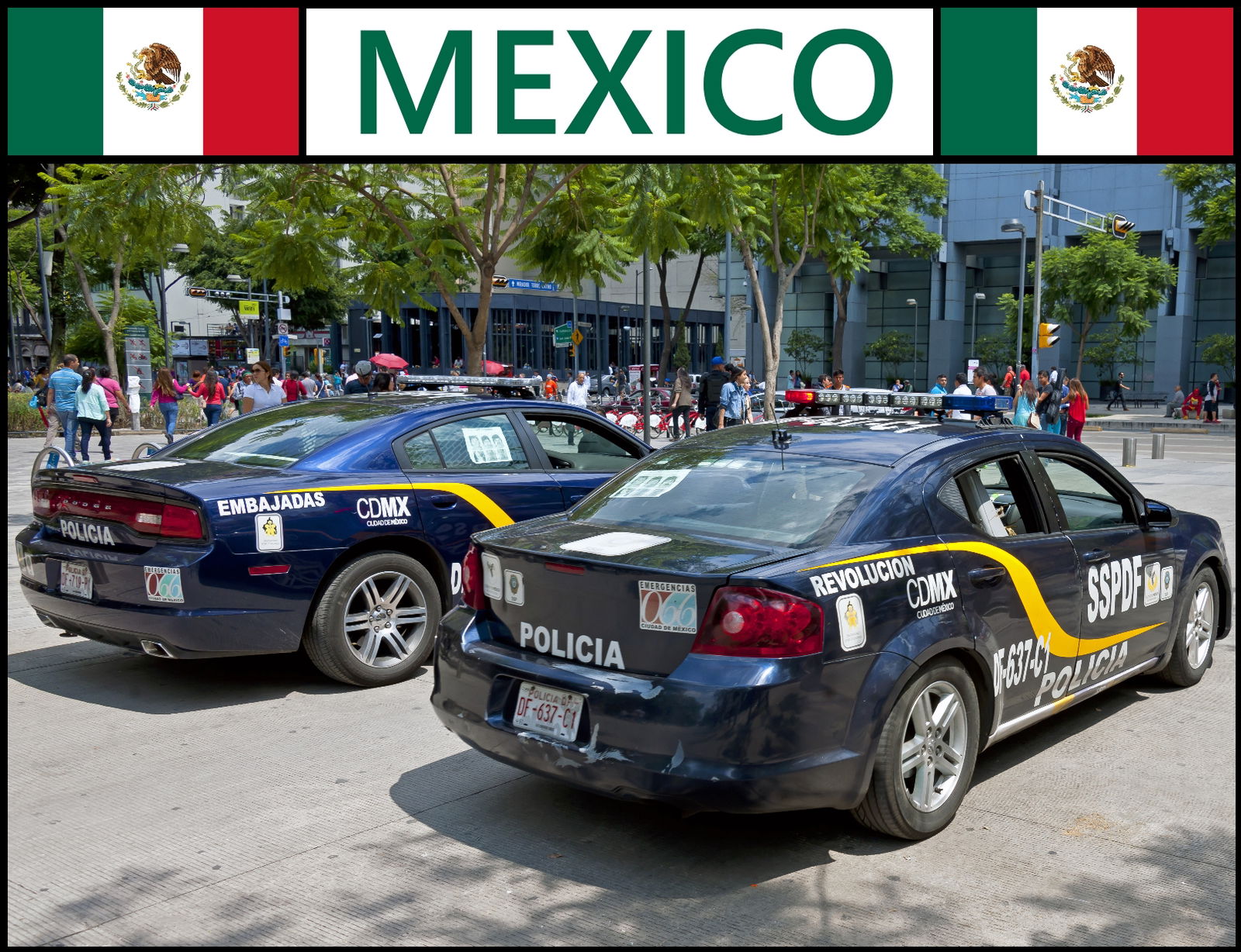 The Different Police Cars From 26 Countries Around The World